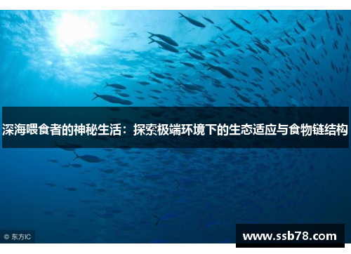 深海喂食者的神秘生活：探索极端环境下的生态适应与食物链结构